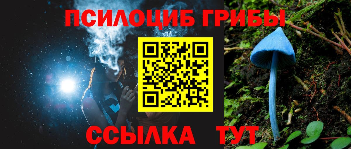 Галлюциногенные грибы прущие грибы Краснокаменск